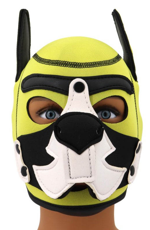 Cagoule Puppy Fox Néoprène Jaune-Blanc