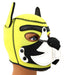 Cagoule Puppy Fox Néoprène Jaune-Blanc