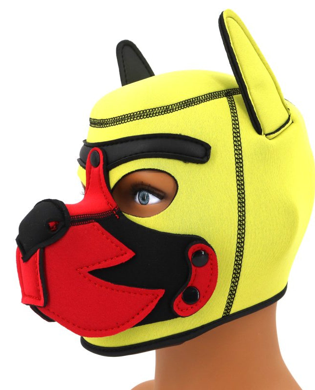 Cagoule Puppy Fox Néoprène Jaune-Rouge