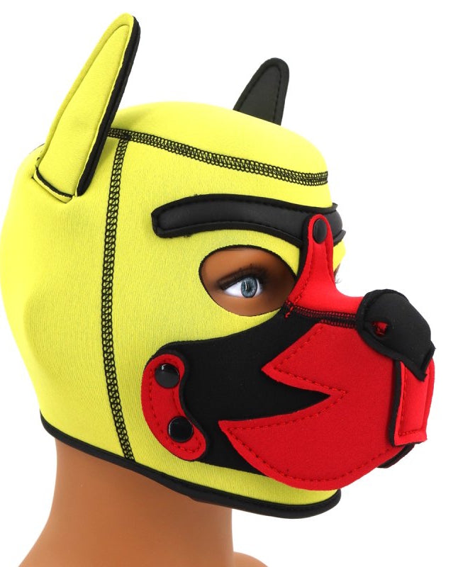 Cagoule Puppy Fox Néoprène Jaune-Rouge