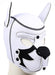Cagoule PUPPY FOX Néoprène Noir-Blanc