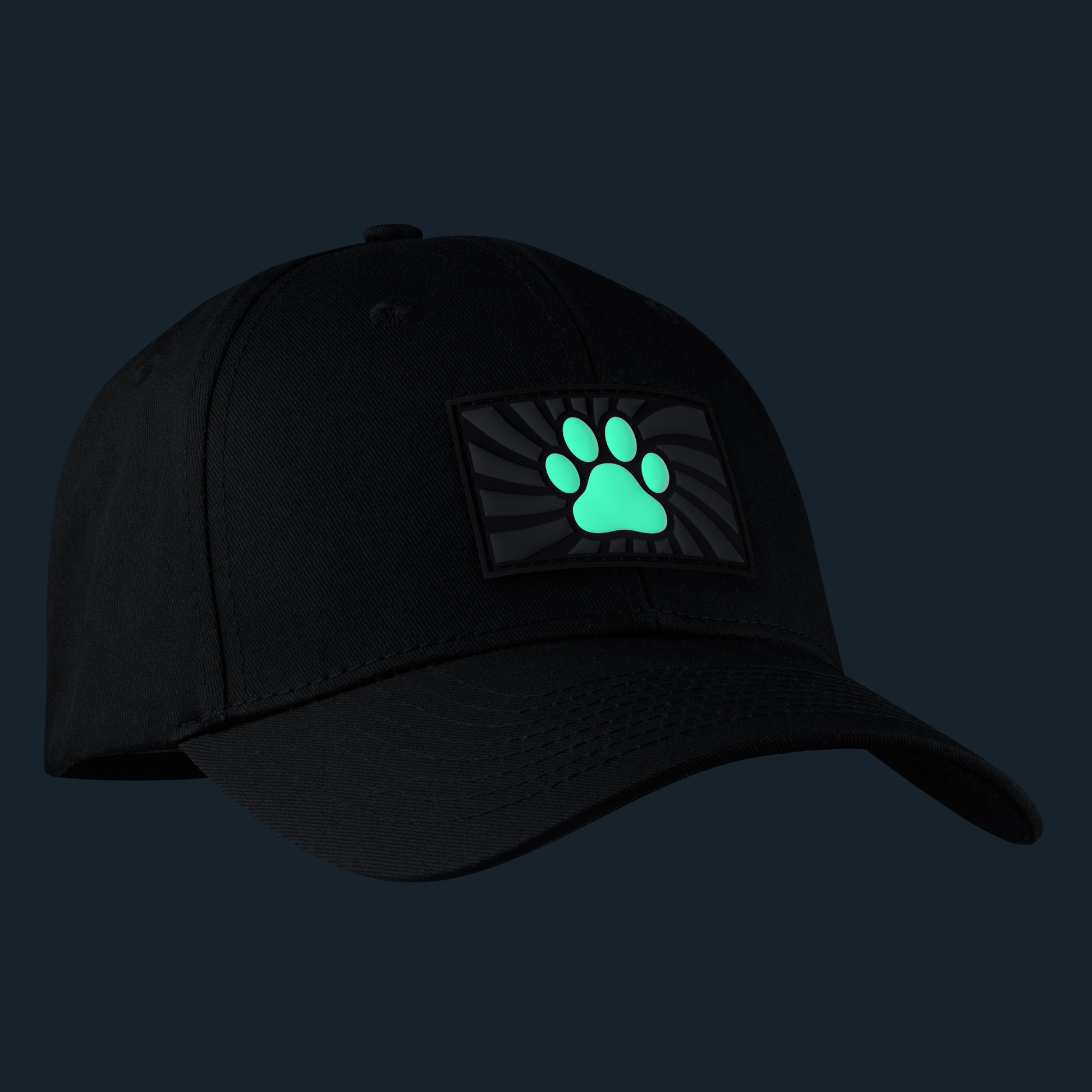 Casquette Fuck & Fist Paw Gris