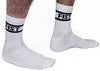 Chaussettes blanches FIST x2 Paires