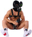 Chaussettes blanches Sniffer SneakXX