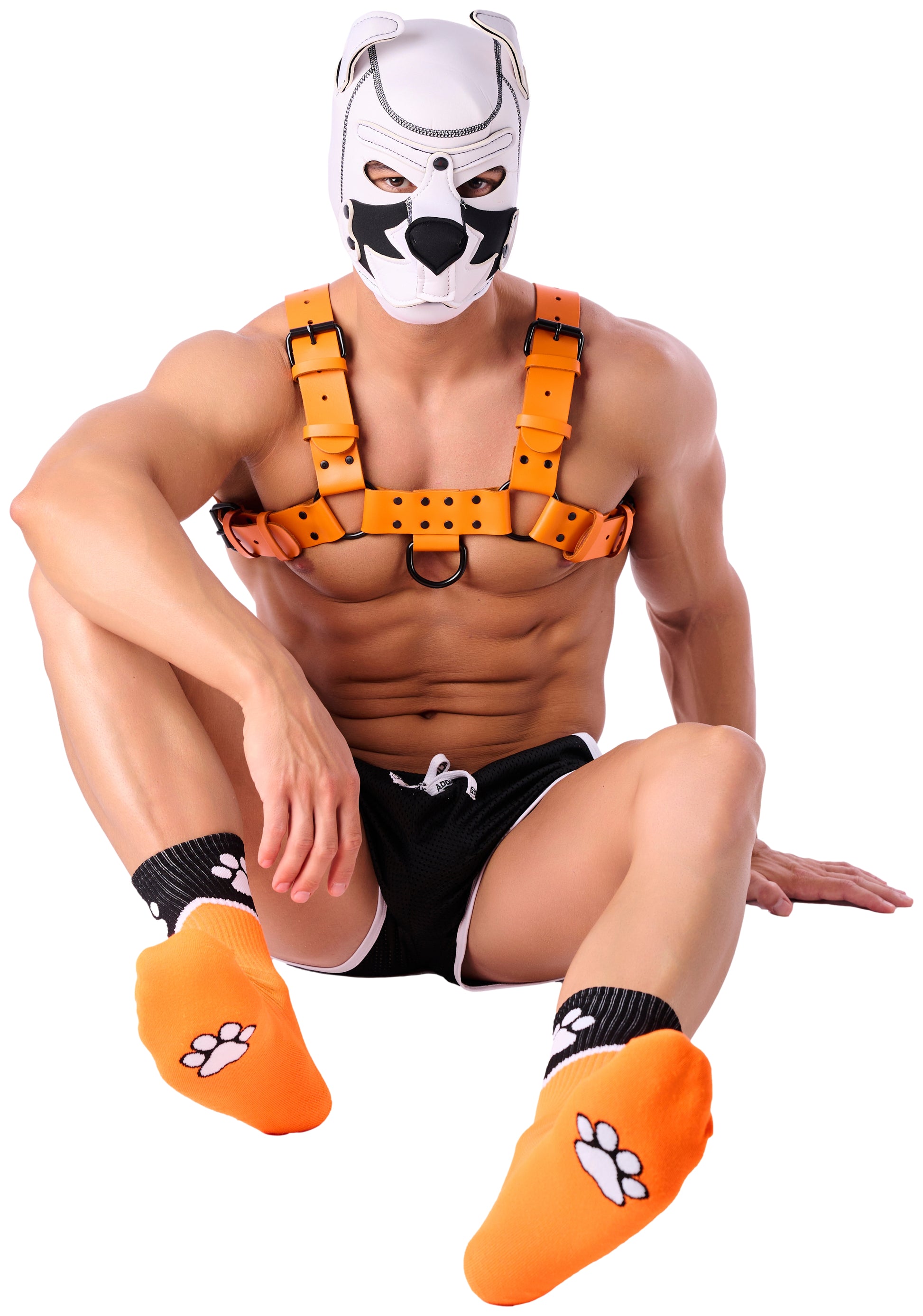 Chaussettes Paw Kinky Puppy Orange