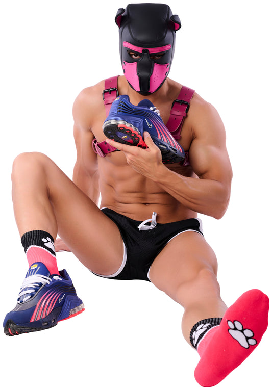 Chaussettes Paw Kinky Puppy Roses