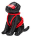 Chien en Simili Rover 24cm Noir