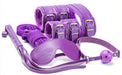 Coffret BDSM 7 pièces Wicked Violet