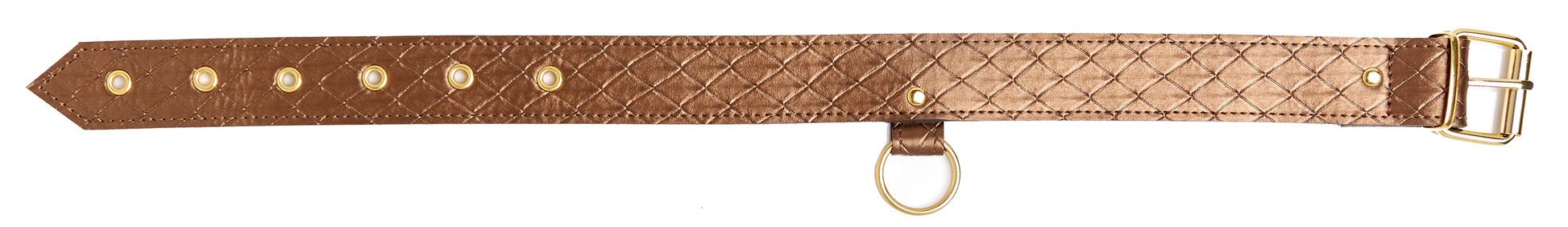 Collier et laisse Darling Pet Bronze 1m