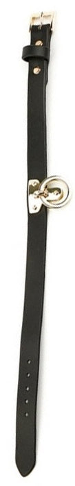 Collier et Laisse Sclave Noirs