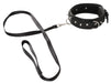 Collier et Laisse Vegan Fetish
