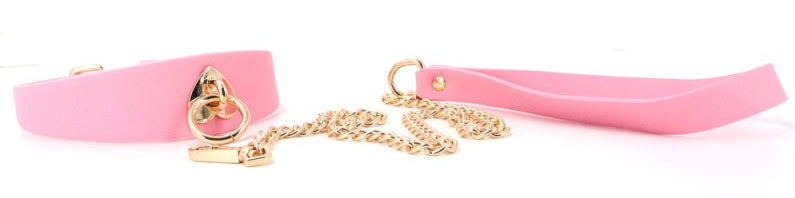 Collier-Laisse Barbing
