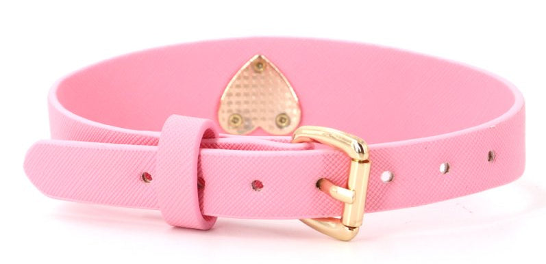 Collier-Laisse Barbing