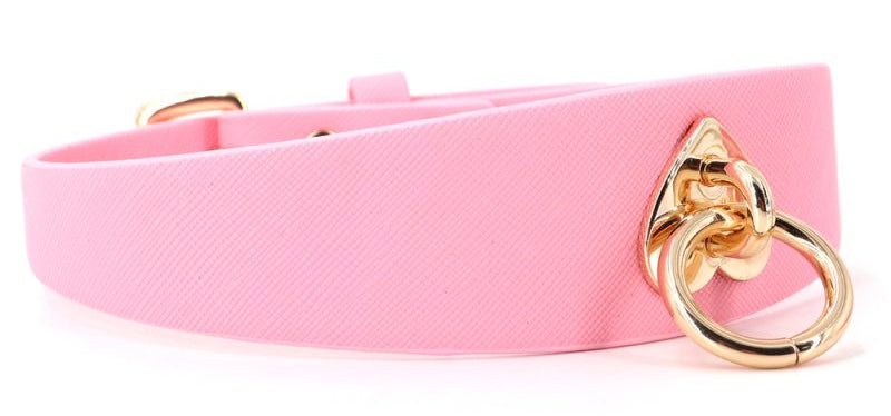 Collier-Laisse Barbing
