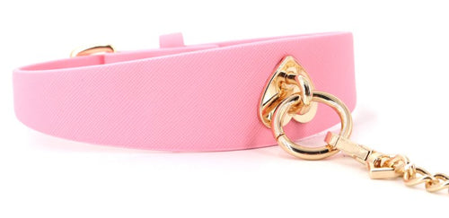 Collier-Laisse Barbing