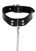 Collier-Laisse Elegant Taboom 1m