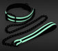 Collier-Laisse fluorescente Glo 75cm