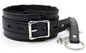 Collier Laisse FUR Noir