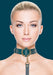 Collier-Laisse Halo Col Bleu