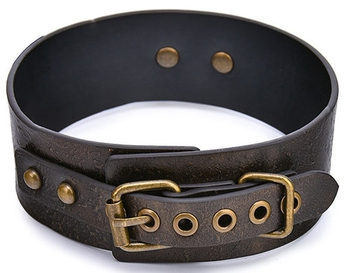 Collier-Laisse Vintagy