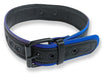Collier Puppy Collar Noir-Bleu