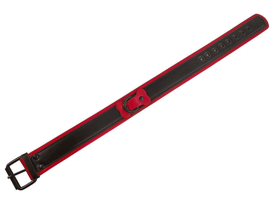 Collier Puppy Collar Noir-Rouge