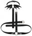 Collier Sm ceinture Belt Wing Noir