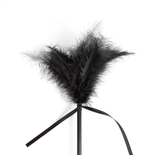 Cravache et Plumeau Secret Touch 50cm Noir