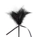 Cravache et Plumeau Secret Touch 50cm Noir