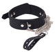 Collier et Laisse Deluxe Collar Noir