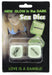 Dés coquins Glow dark