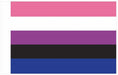 Drapeau Genderfluid 60 x 90cm