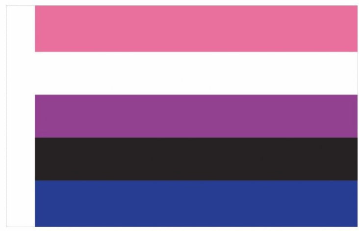 Drapeau Genderfluid 90 x 150cm