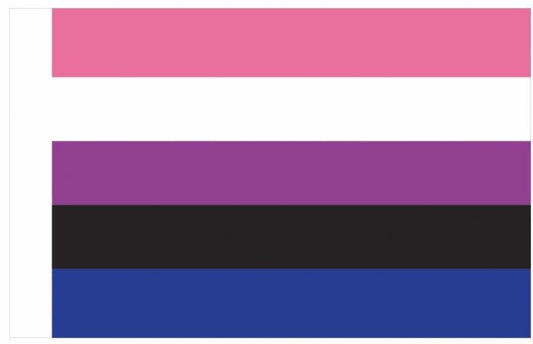 Drapeau Genderfluid 90 x 150cm