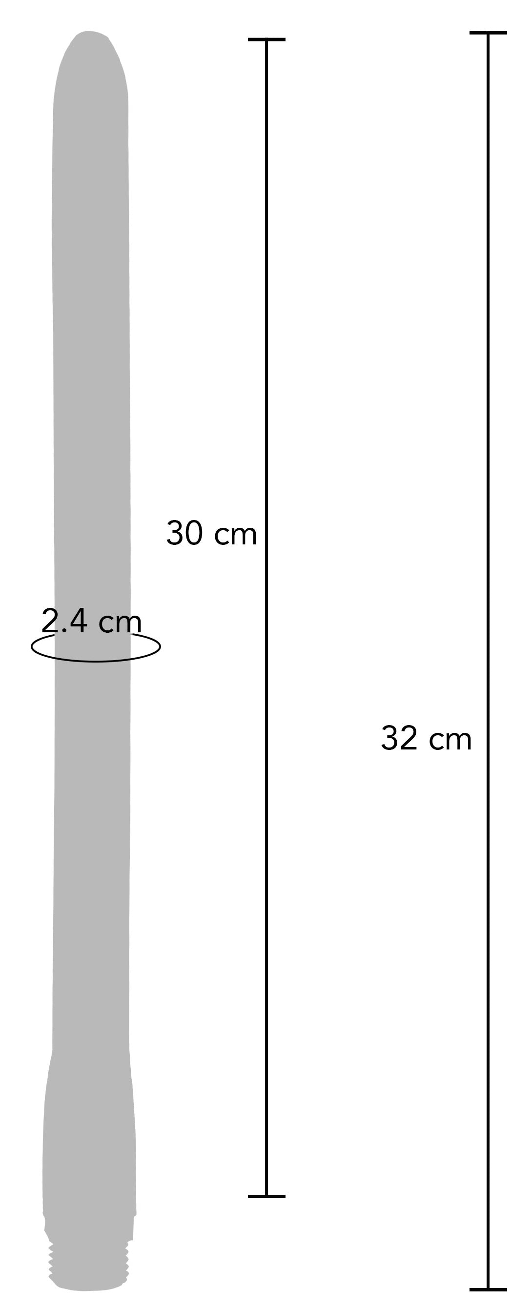 Embout de lavement The Surge 30 x 2cm
