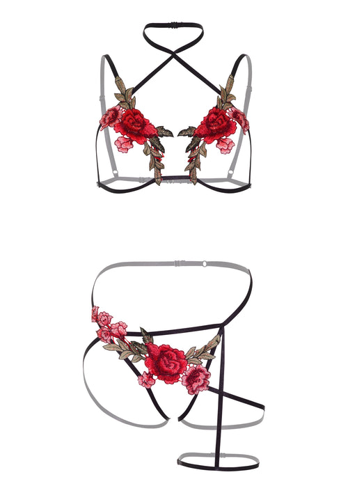 Ensemble Porte-Jarretelles Roses