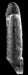 Gaine de pénis Mini Uncut 13 x 4 cm Transparente