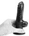 Gode DP86B Funker Noir S 10.5 x 4cm