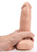Gode DP99F Wilhelm M 16 x 5cm