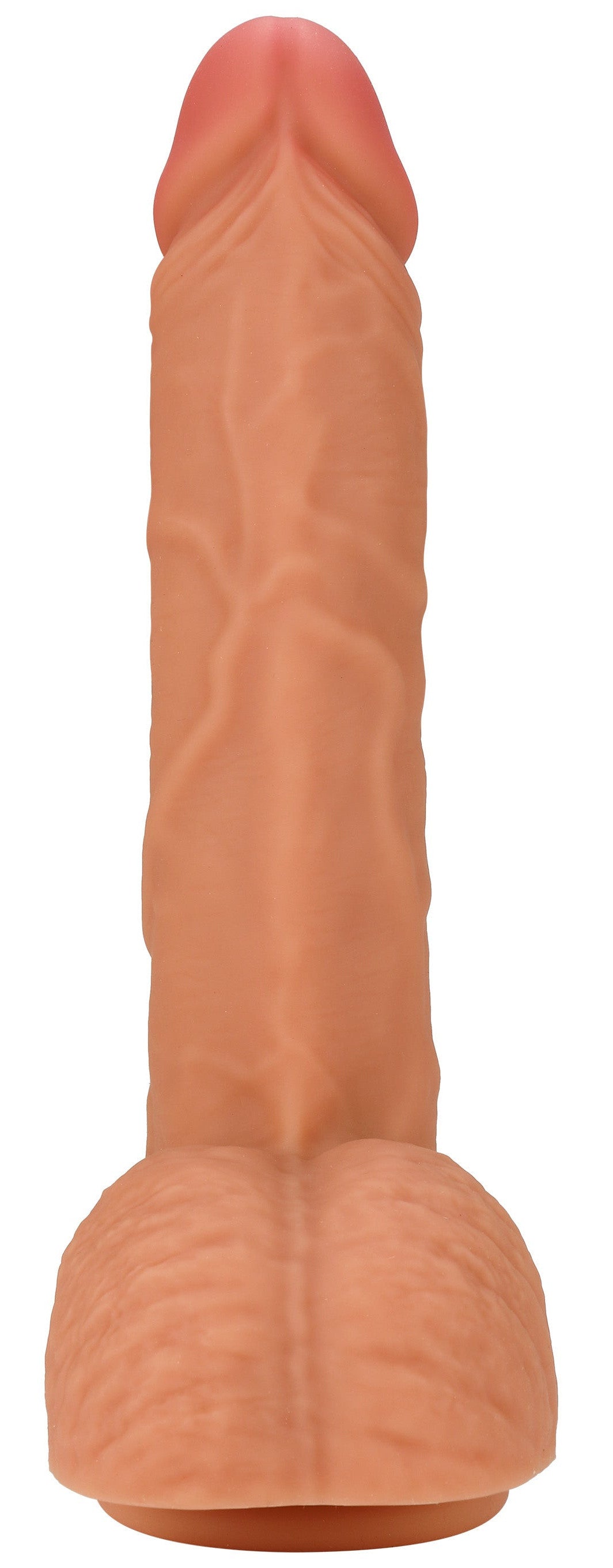 Gode Inferno Orso 19 x 4.5cm