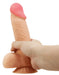 Gode Lisle 14.5 x 4cm