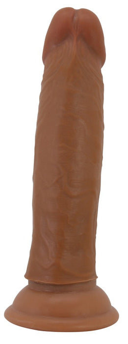 Gode Quentin 15 x 3.8cm Marron