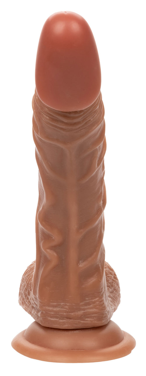 Gode The Personal Trainer 19.5 x 4cm Marron