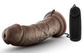 Gode vibrant Dr Joe Dr Skin 19 x 4.7cm Marron