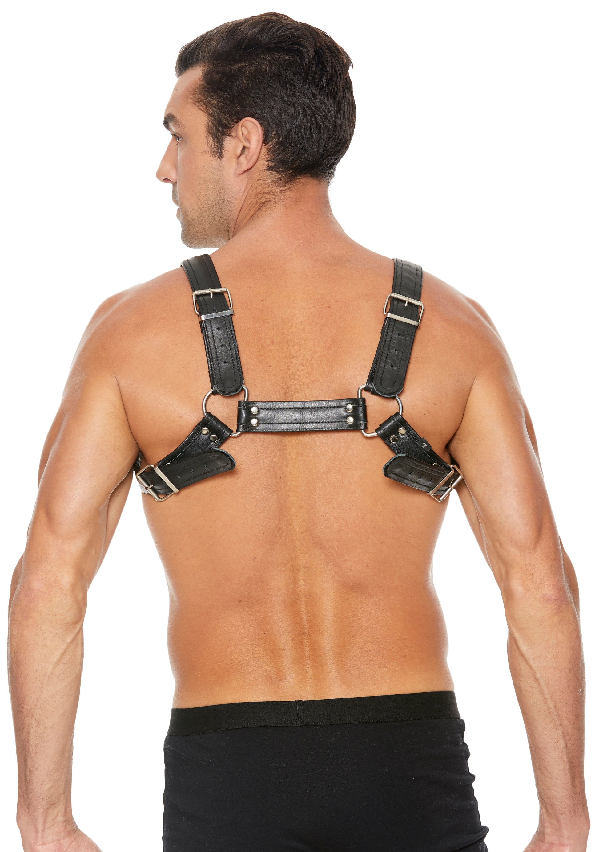 Harnais Buckle Bulldog Noir