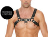 Harnais Chest Bulldog Noir