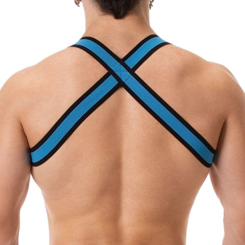 Harnais élastique Colin Bleu