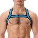 Harnais élastique Colin Bleu