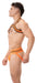 Harnais élastique Colin Orange