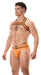 Harnais élastique Colin Orange